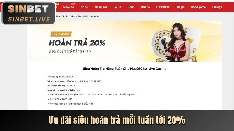 Chương trình hoàn trả hàng tuần tại net88 bet casino